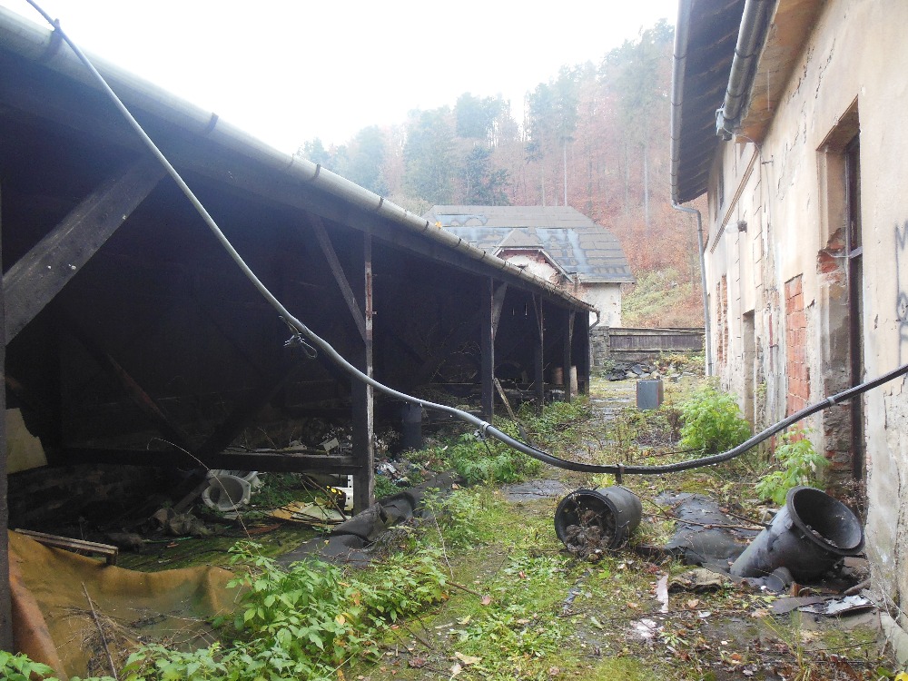 Mokřinky 7.11.2015 029